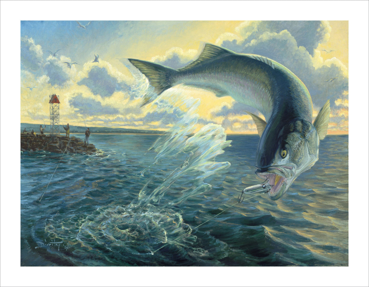 Fishing Art  Limited Edition Prints by Hook Life