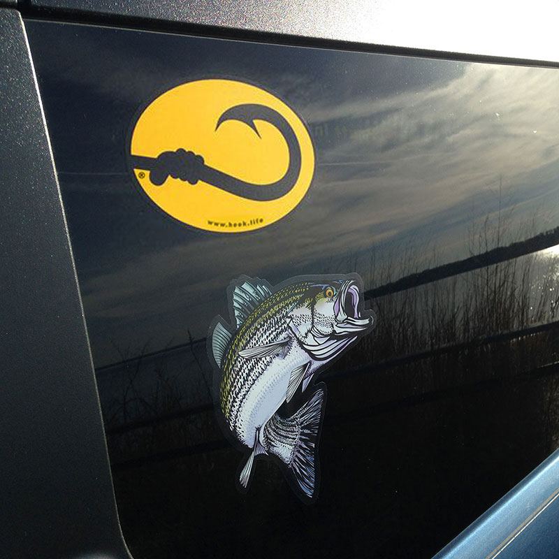Fishing Bumper Sticker | Hook Life Fishing Pride Accessories