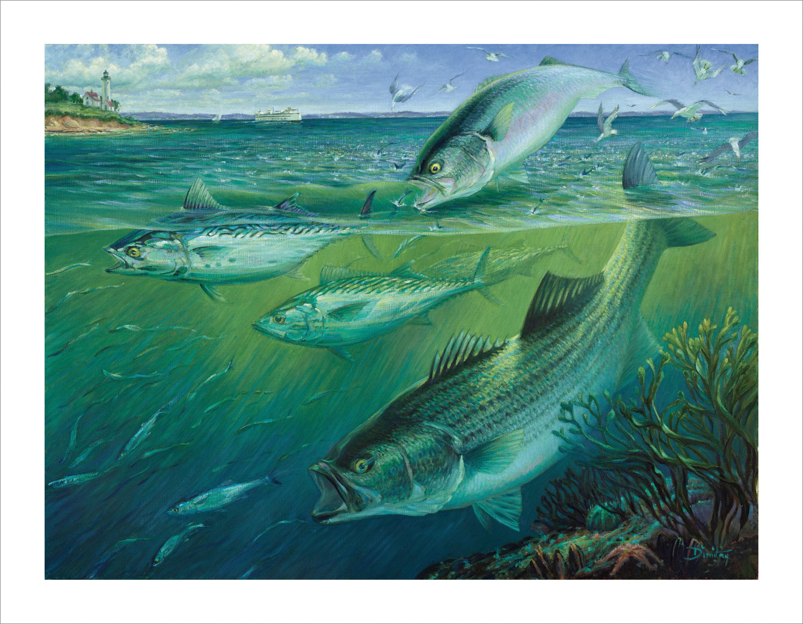 Fishing Art  Limited Edition Prints by Hook Life