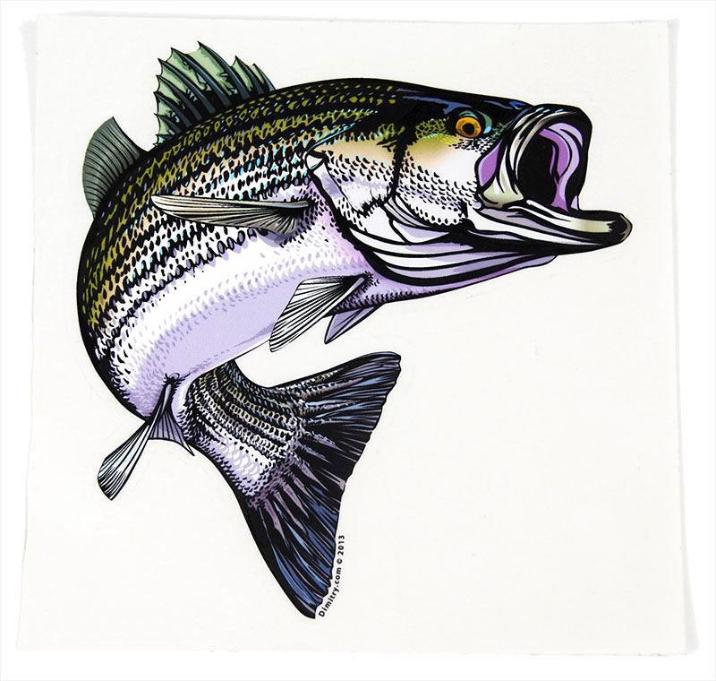 3 Sizes Fishing Realistic Fish Striped bass Lure Car Stickers
